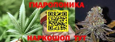 молекула духа Пугачёв