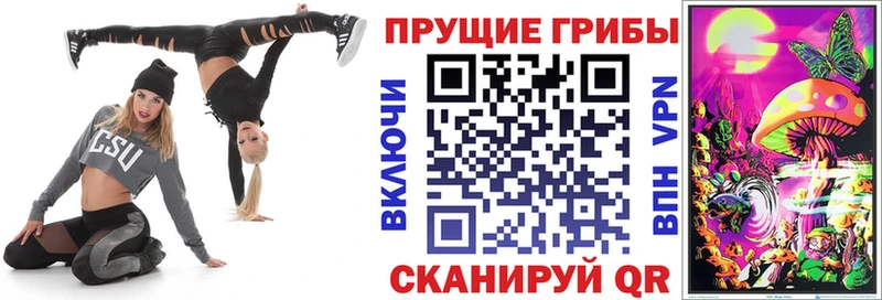 продажа наркотиков Свободный Галлюциногенные грибы Psilocybe