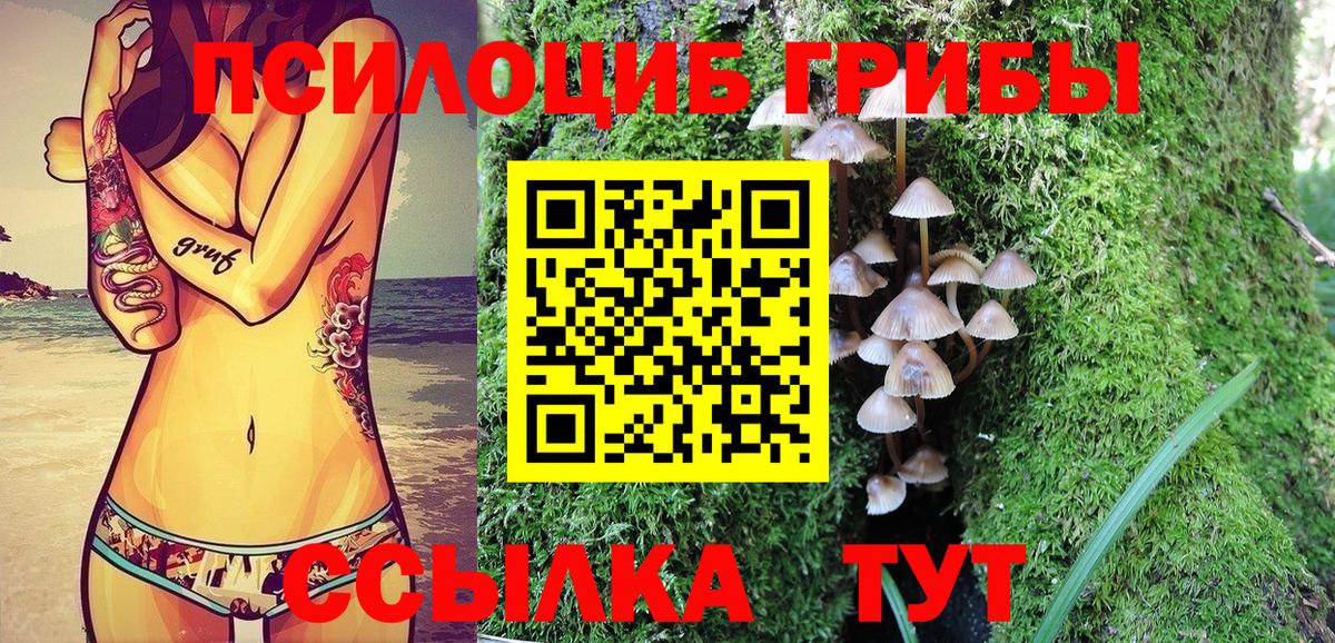 Псилоцибиновые грибы прущие грибы Свободный