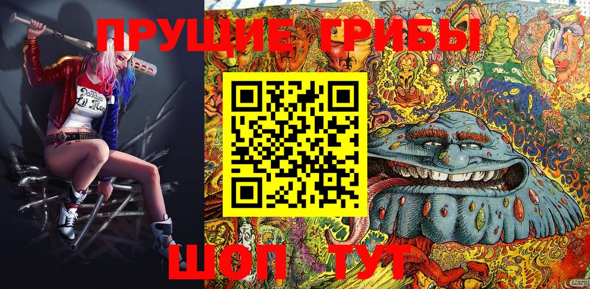 Псилоцибиновые грибы Psilocybe  Галлюциногенные грибы GOLDEN TEACHER  Вход с VPN  Свободный 